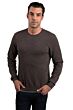 Brown Men's 100% Cashmere Long Sleeve Pullover Crewneck Sweater Front View