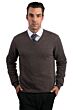 Brown Men's 100% Cashmere Long Sleeve Pullover V Neck Sweater Front View